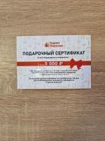 Сертификат для магазина Барон Перегон на 5000 рублей